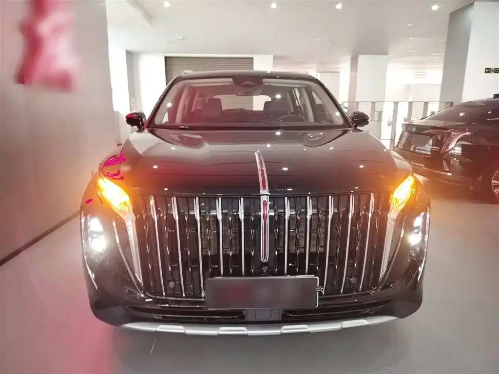 Hongqi HS7 PHEV 2024 из CN, фото 5