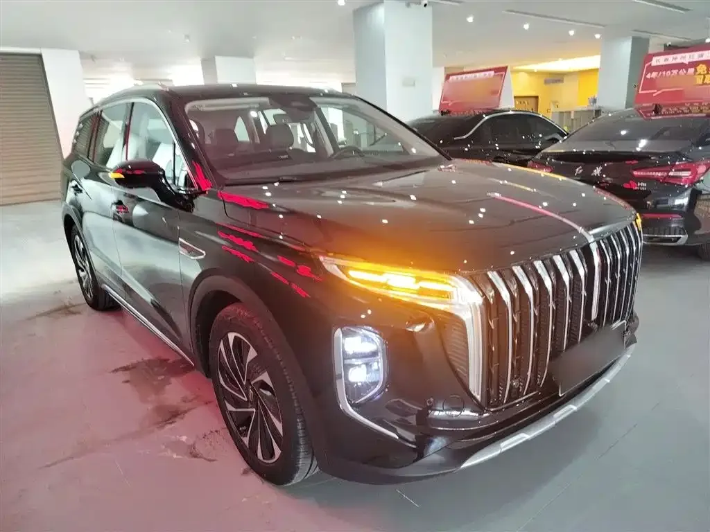 Hongqi HS7 PHEV 2024 из CN, фото 10