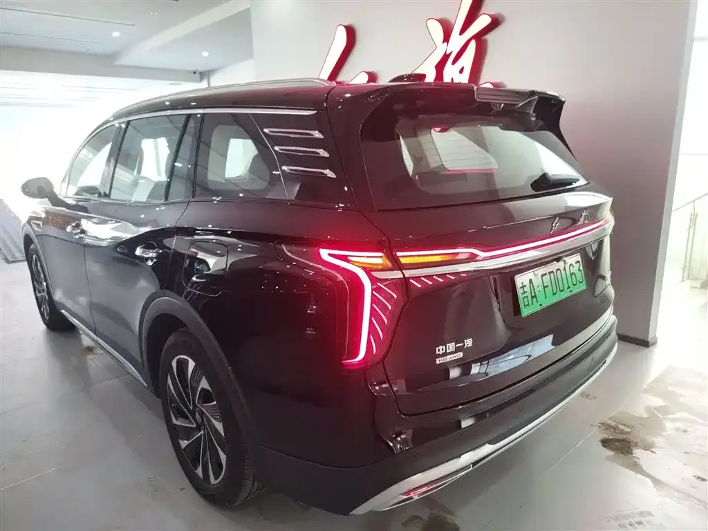 Hongqi HS7 PHEV 2024 из CN, фото 6