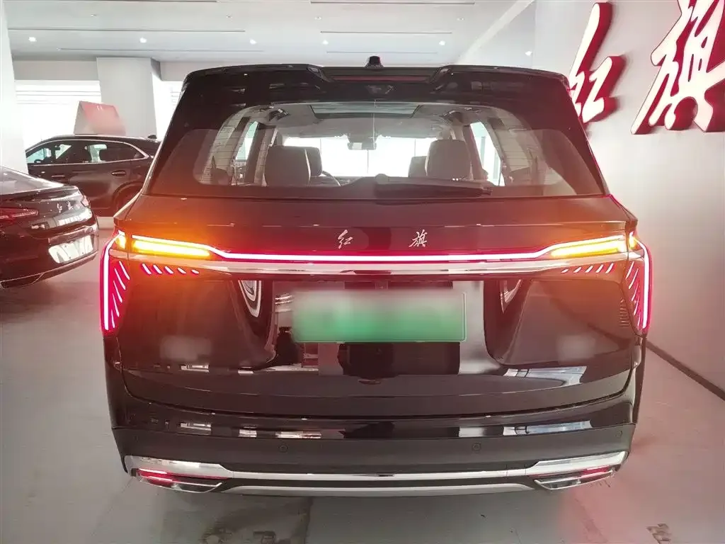 Hongqi HS7 PHEV 2024 из CN, фото 3
