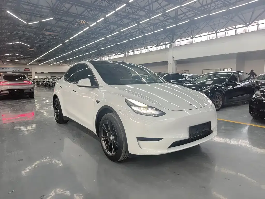 Tesla Model Y 2024 из CN, фото 10