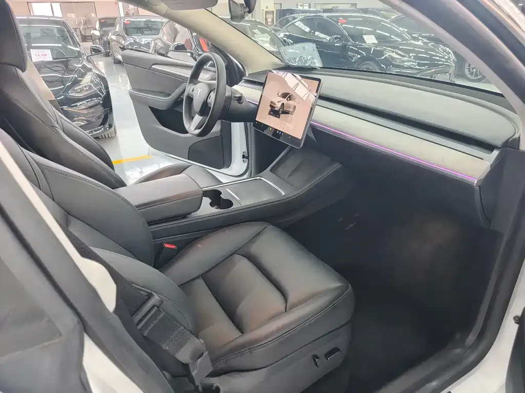 Tesla Model Y 2024 из CN, фото 9