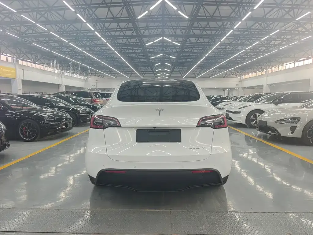 Tesla Model Y 2024 из CN, фото 4