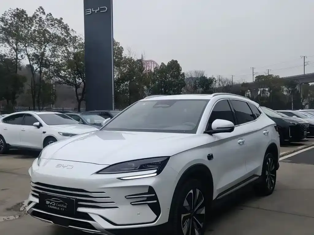 BYD PLUS New Energy 2025 из CN, фото 1