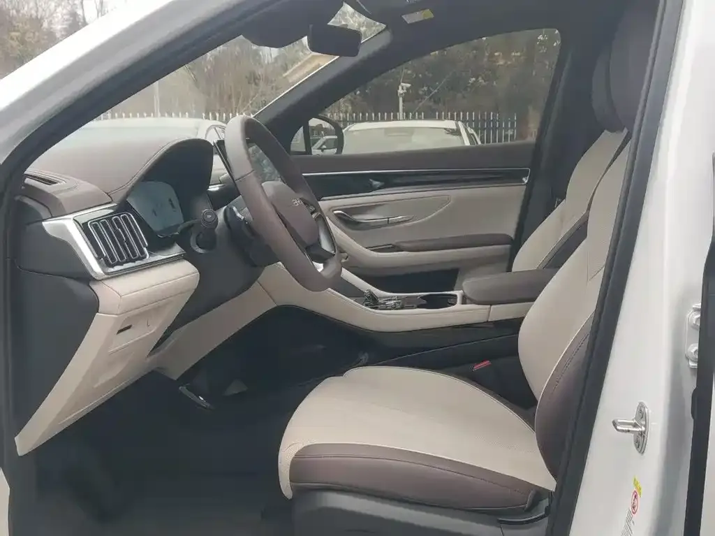BYD PLUS New Energy 2025 из CN, фото 6