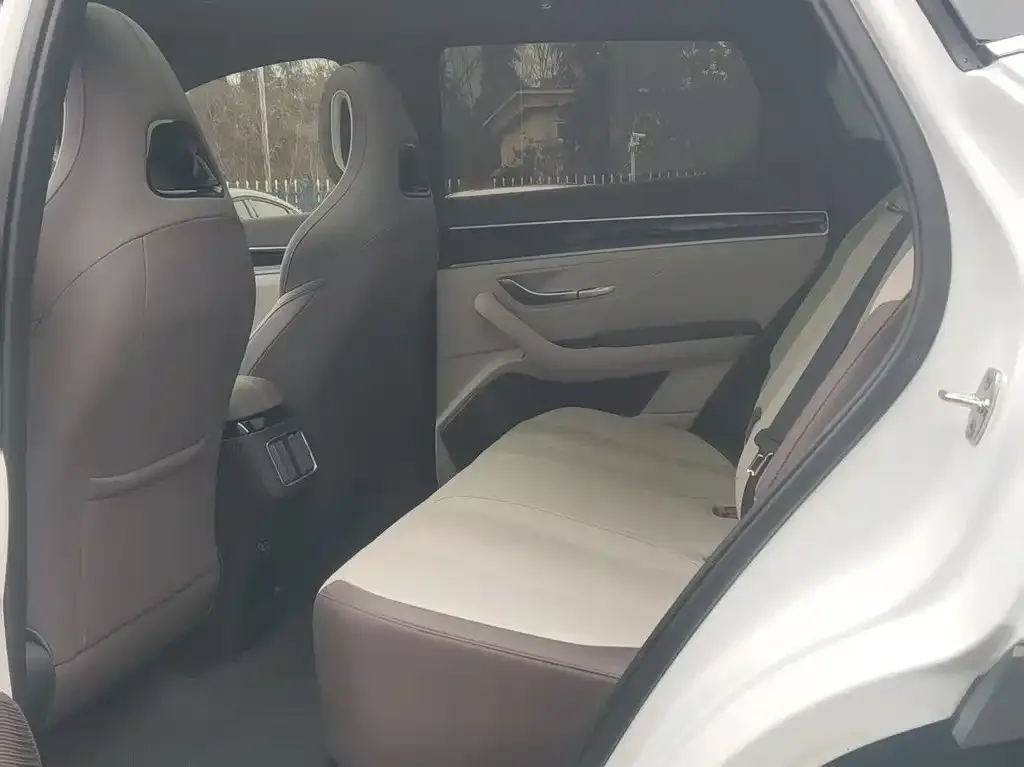 BYD PLUS New Energy 2025 из CN, фото 3