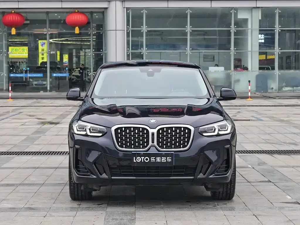 BMW X4 2025 из CN, фото 2