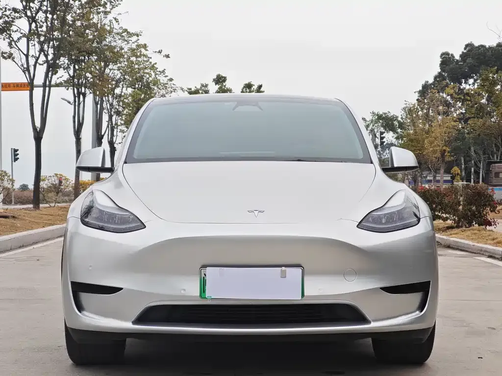 Tesla Model Y 2022 из CN, фото 4