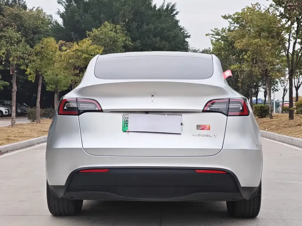 Tesla Model Y 2022 из CN, фото 6