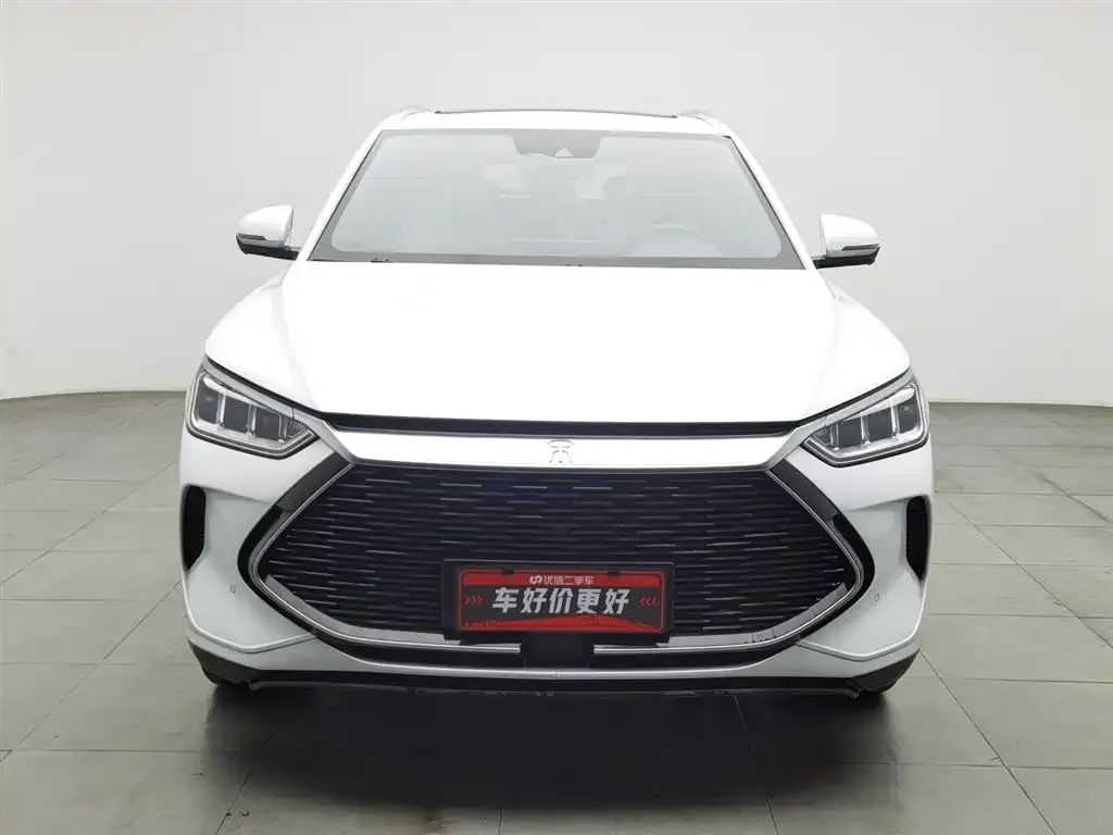BYD PLUS New Energy 2023 из CN, фото 5