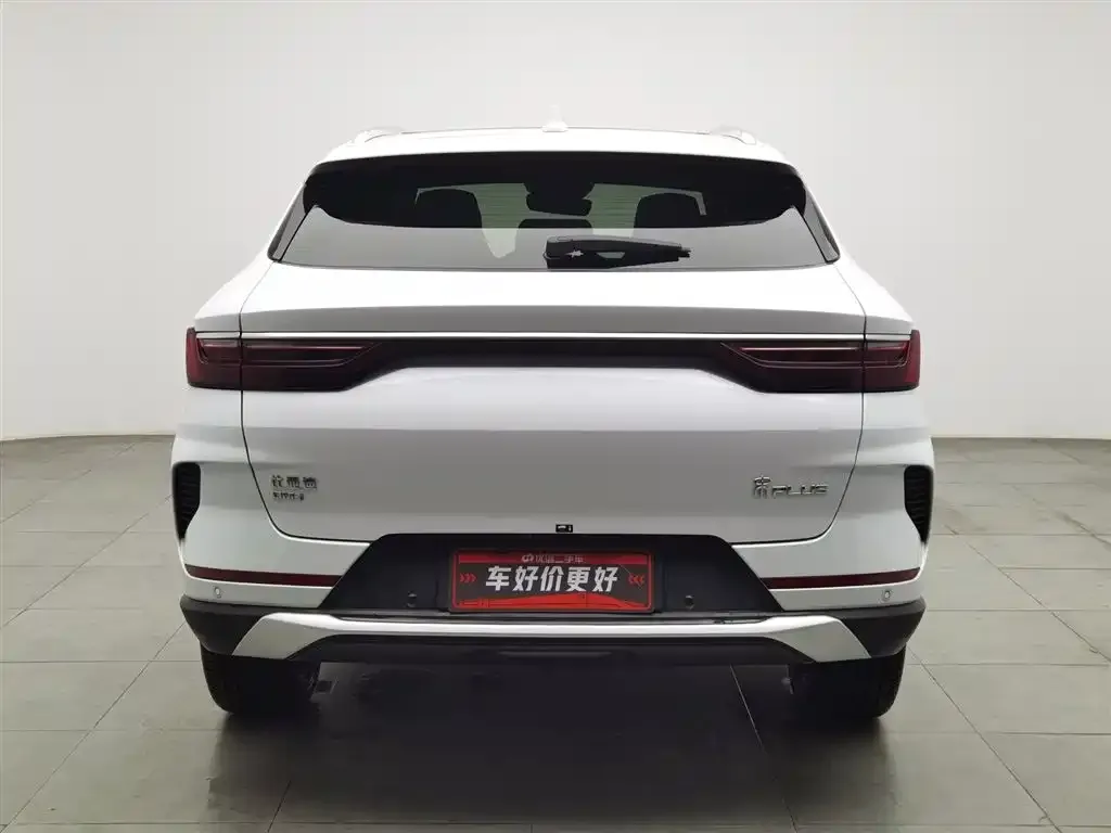 BYD PLUS New Energy 2023 из CN, фото 2