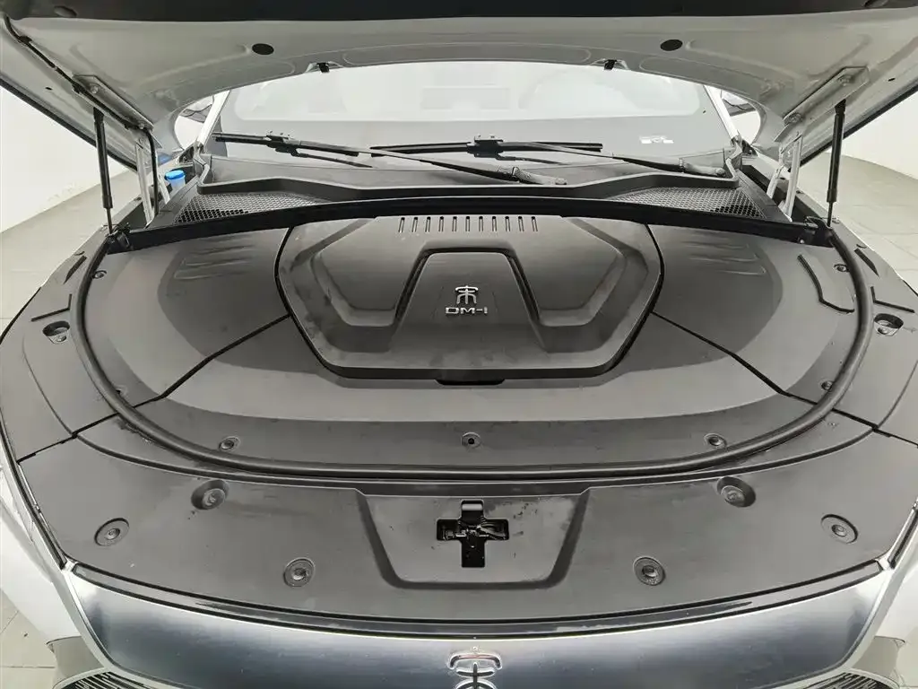 BYD PLUS New Energy 2023 из CN, фото 8