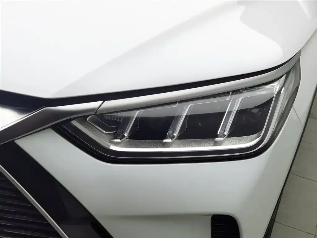 BYD PLUS New Energy 2023 из CN, фото 3