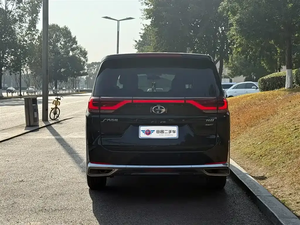 GAC Motor Trumpchi M8 2024 из CN, фото 5