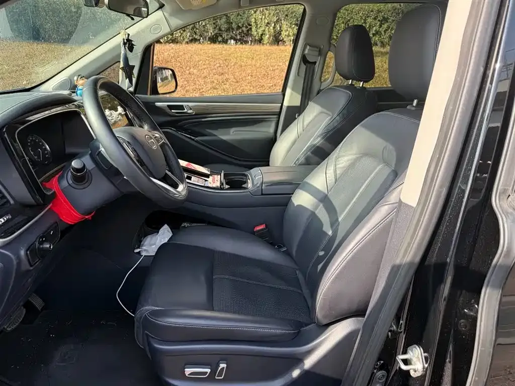 GAC Motor Trumpchi M8 2024 из CN, фото 9