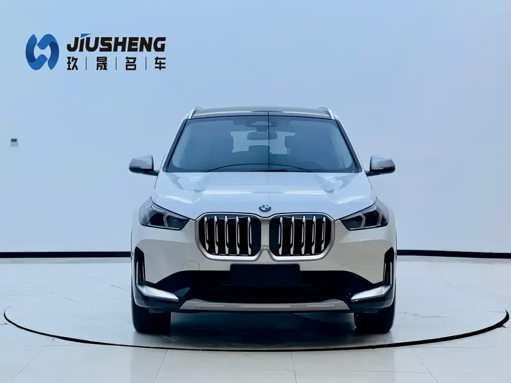 BMW X1 2024 из CN, фото 6