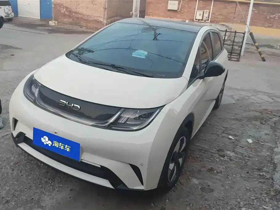BYD Dolphin 2024 из CN, фото 1