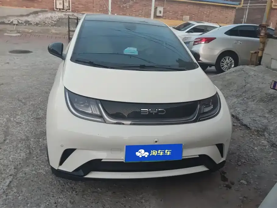 BYD Dolphin 2024 из CN, фото 2