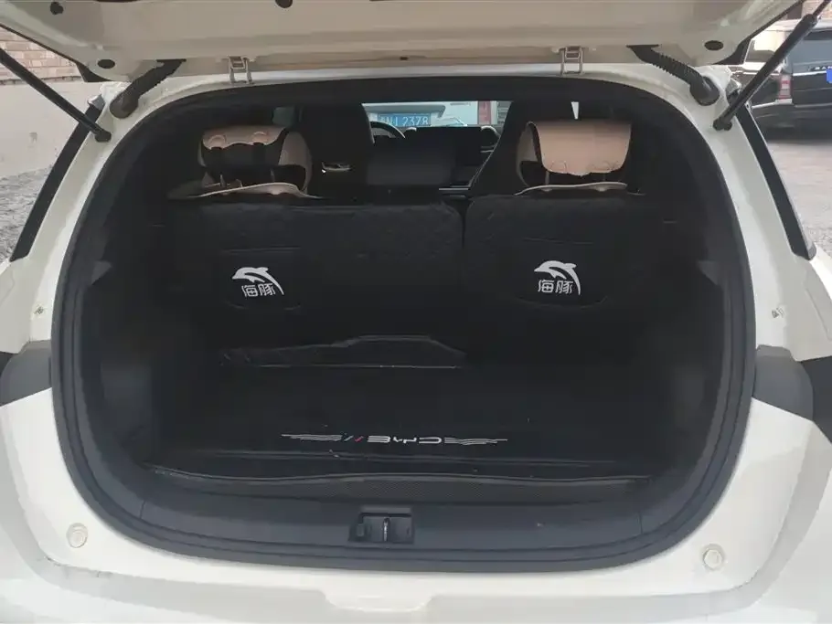 BYD Dolphin 2024 из CN, фото 7