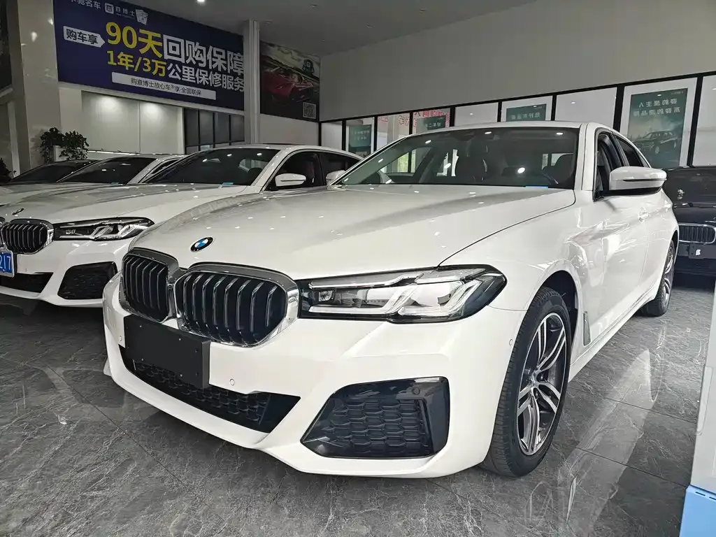 BMW 5 Series 2021 из CN, фото 1