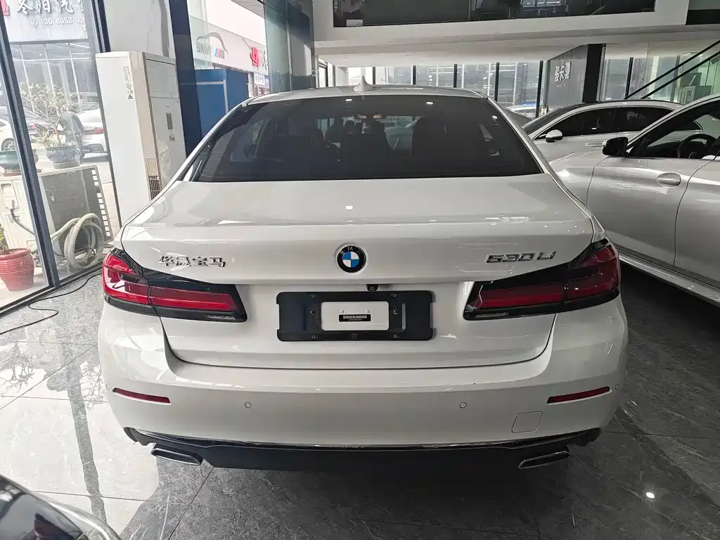 BMW 5 Series 2021 из CN, фото 9