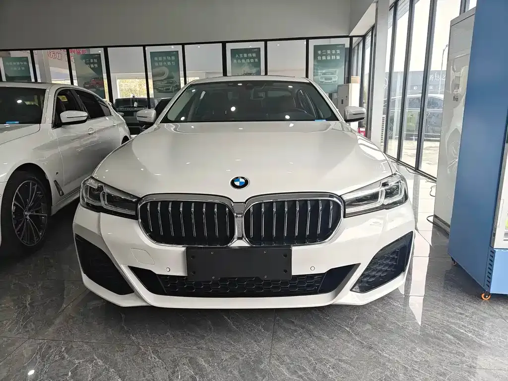 BMW 5 Series 2021 из CN, фото 3