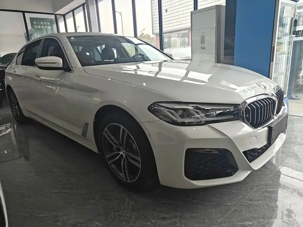 BMW 5 Series 2021 из CN, фото 8
