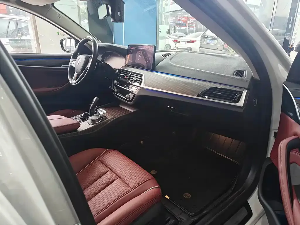 BMW 5 Series 2021 из CN, фото 4