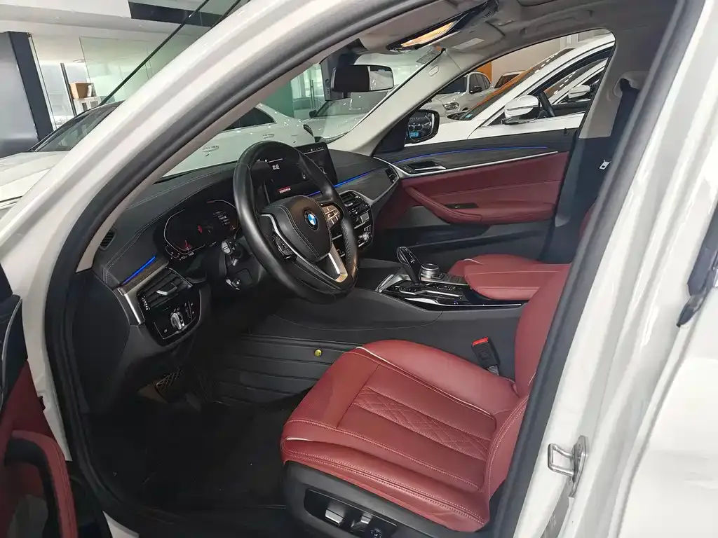 BMW 5 Series 2021 из CN, фото 10