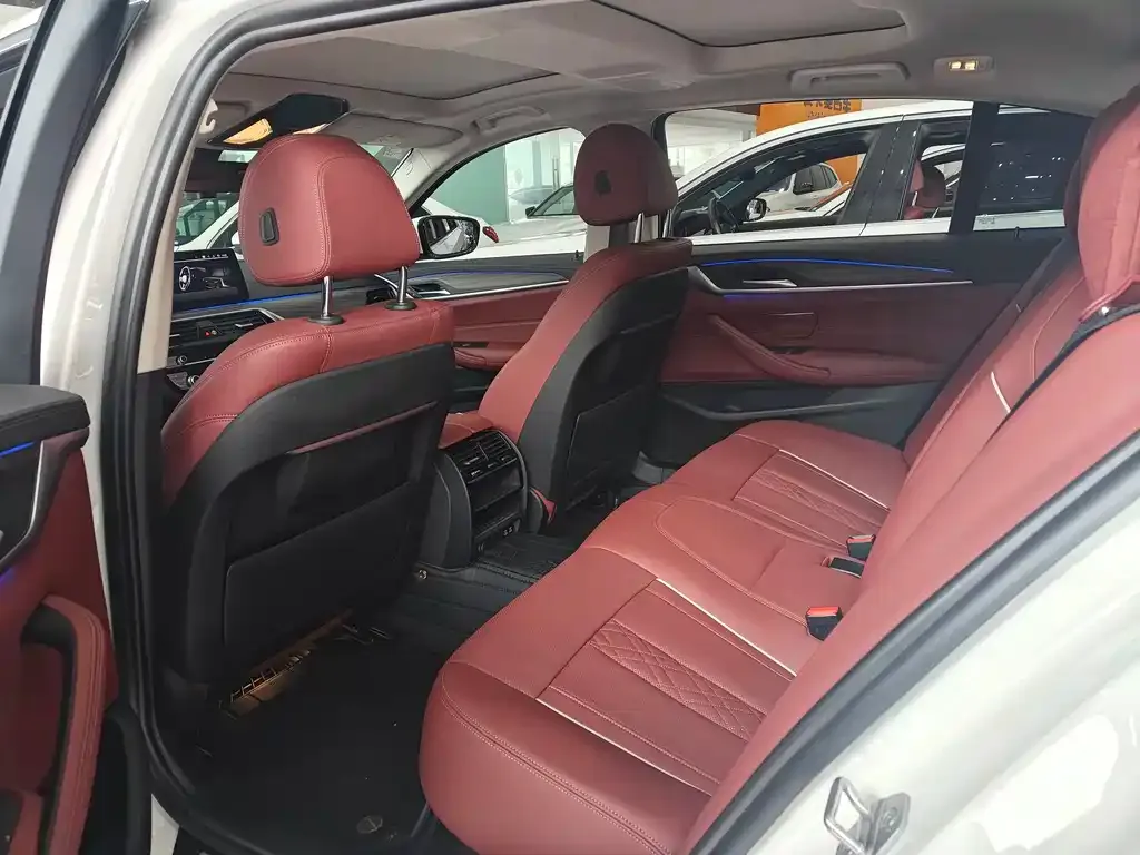 BMW 5 Series 2021 из CN, фото 5
