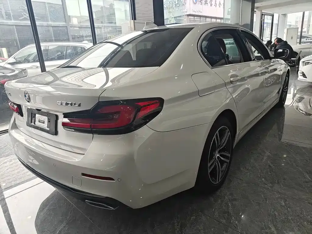 BMW 5 Series 2021 из CN, фото 6