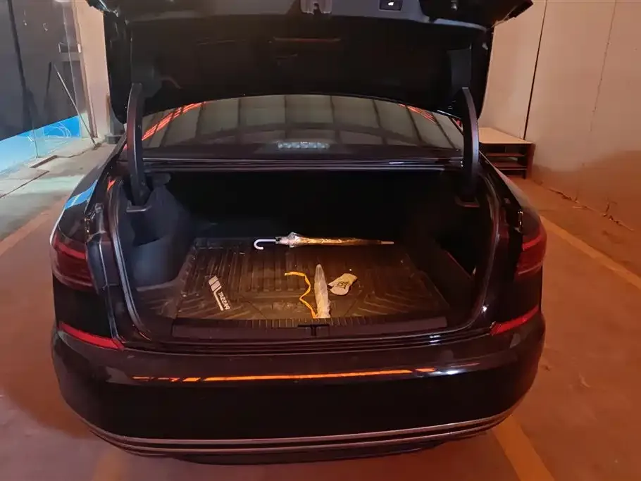 Volkswagen Passat 2024 из CN, фото 6