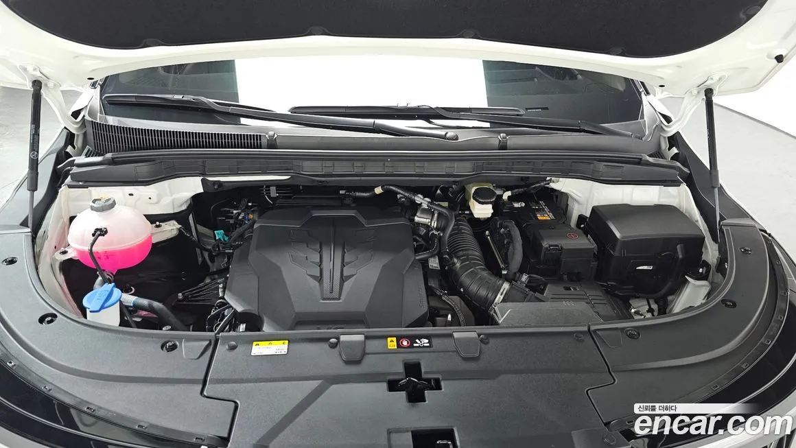 Kia Carnival — фото 10
