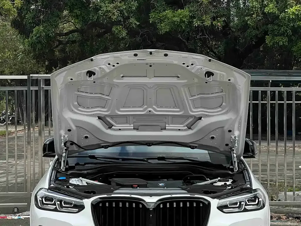 BMW X3 2023 из CN, фото 5