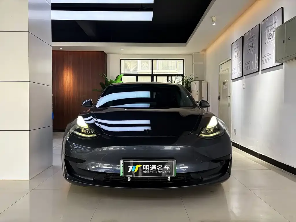 Tesla Model 3 2021 из CN, фото 1