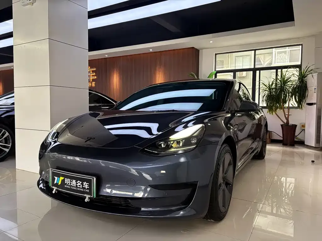 Tesla Model 3 2021 из CN, фото 3
