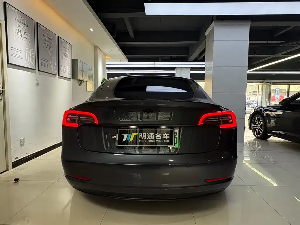 Tesla Model 3 2021 из CN, фото 7