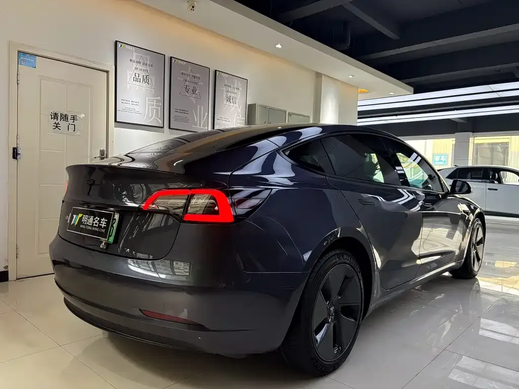 Tesla Model 3 2021 из CN, фото 2