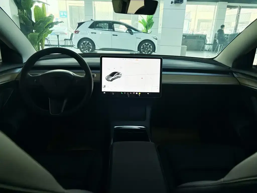 Tesla Model 3 2021 из CN, фото 6