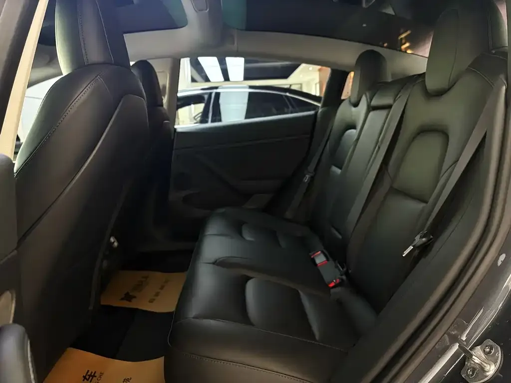 Tesla Model 3 2021 из CN, фото 5