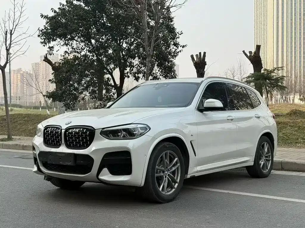 BMW X3 2021 из CN, фото 1