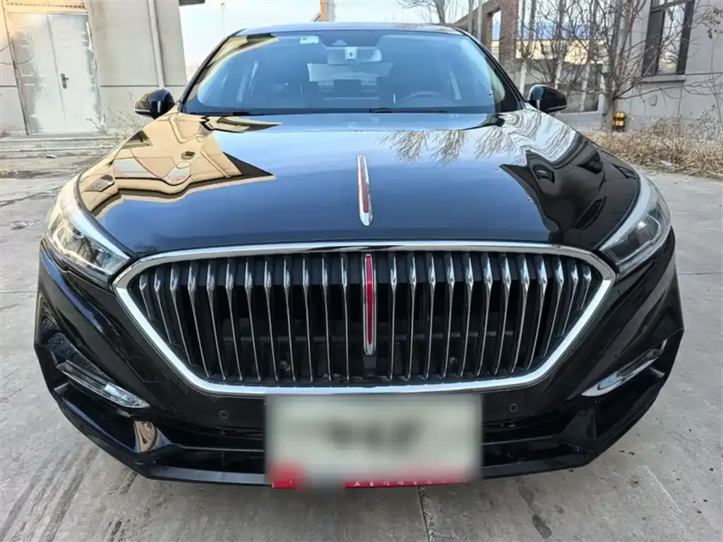 Hongqi H5 2022 из CN, фото 3