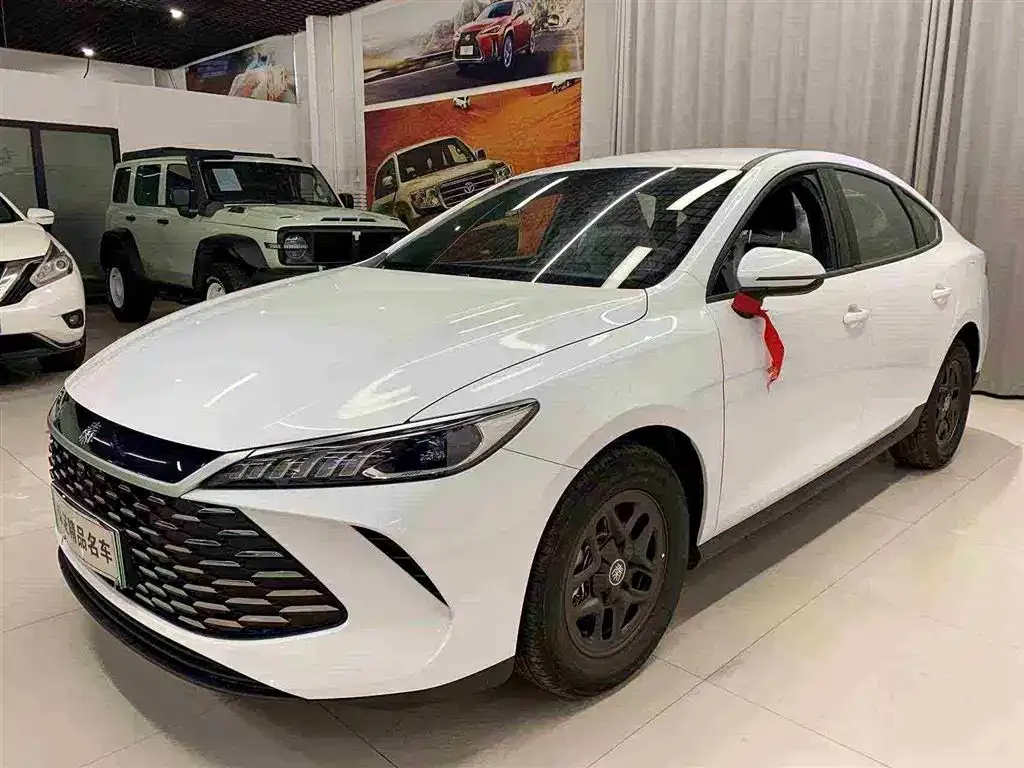BYD Qin PLUS 2025 из CN, фото 1