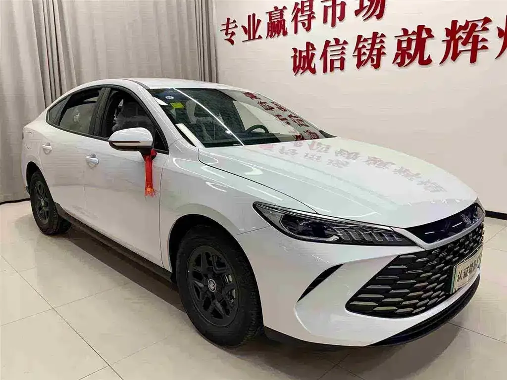 BYD Qin PLUS 2025 из CN, фото 3