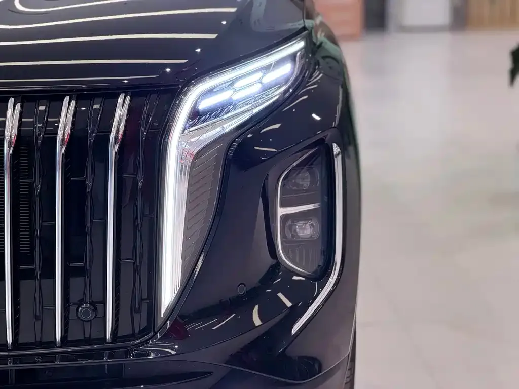 Hongqi HS7 PHEV 2024 из CN, фото 10