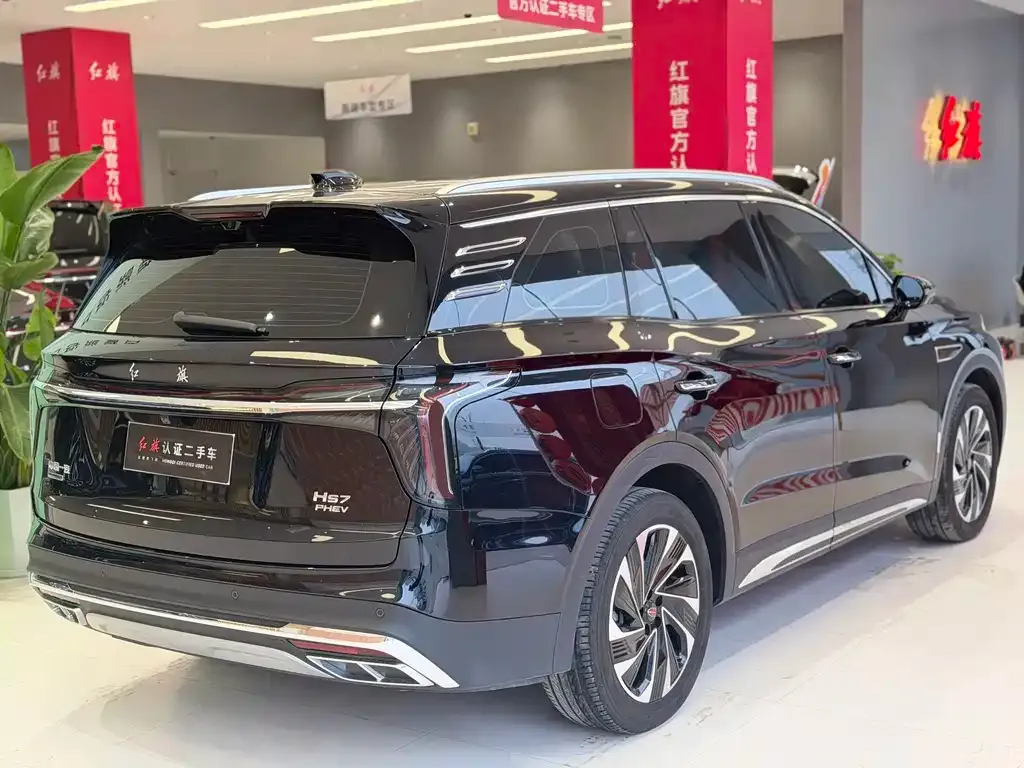 Hongqi HS7 PHEV 2024 из CN, фото 3
