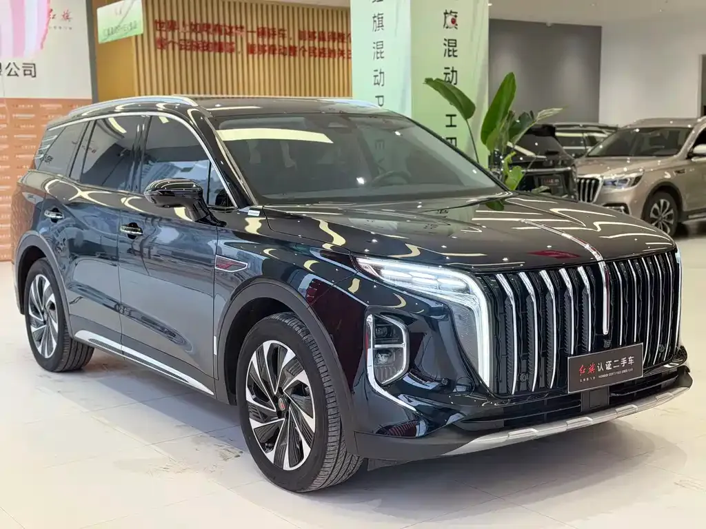 Hongqi HS7 PHEV 2024 из CN, фото 7