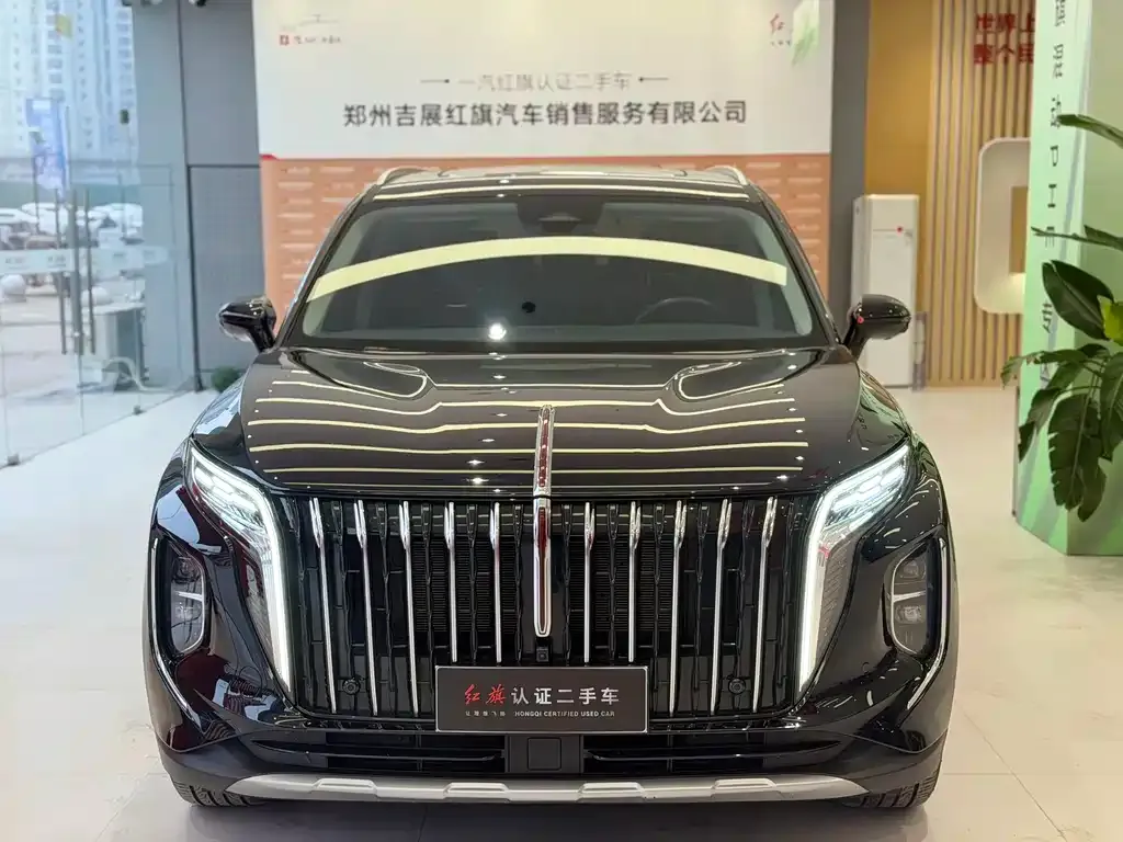 Hongqi HS7 PHEV 2024 из CN, фото 4