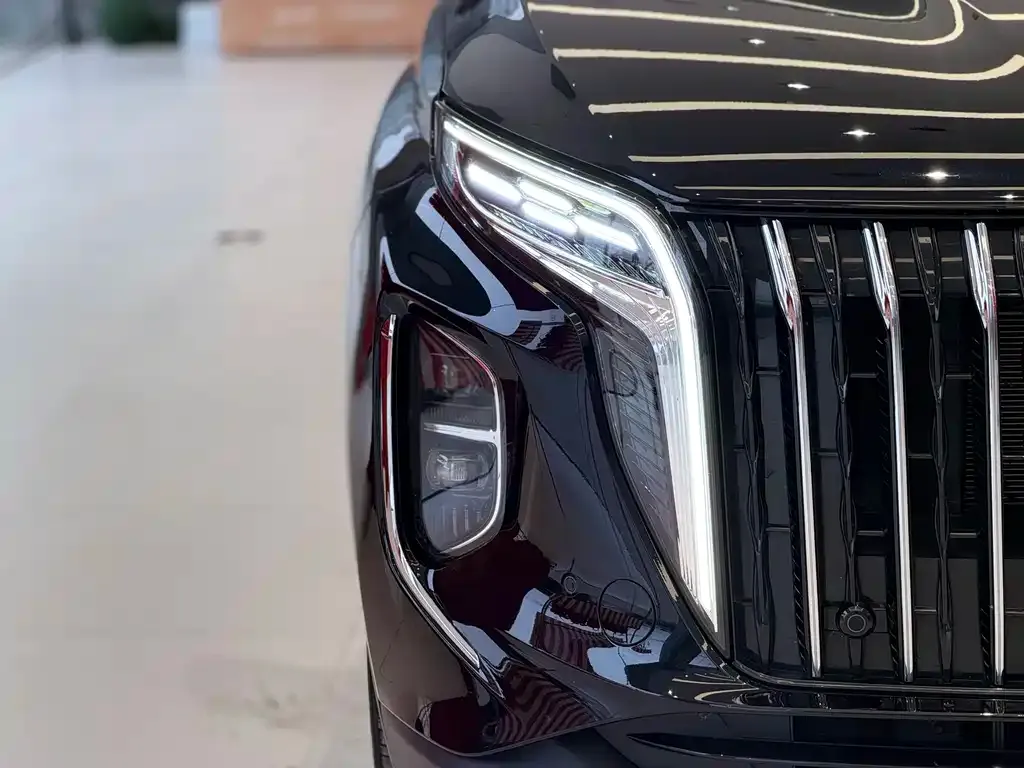 Hongqi HS7 PHEV 2024 из CN, фото 2