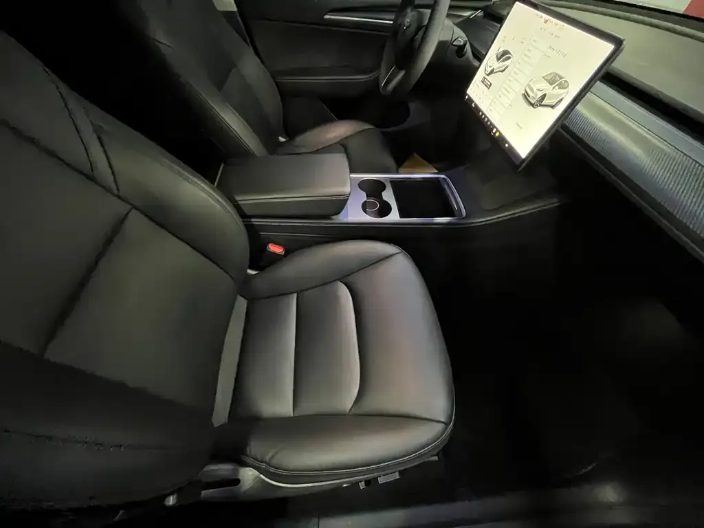 Tesla Model Y 2021 из CN, фото 9